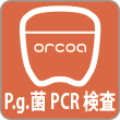 P.g.菌PCR検査：orcoa